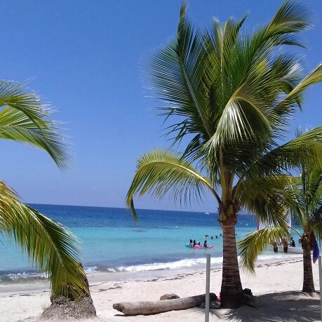 Arrondissement of Le Marin旅游攻略图片