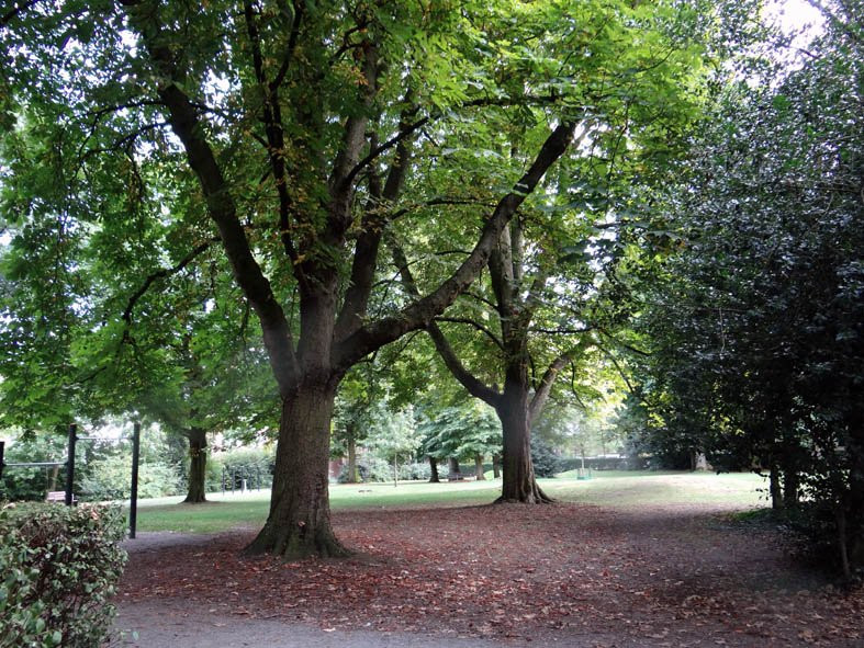 Hof van Roosendael Park景点图片