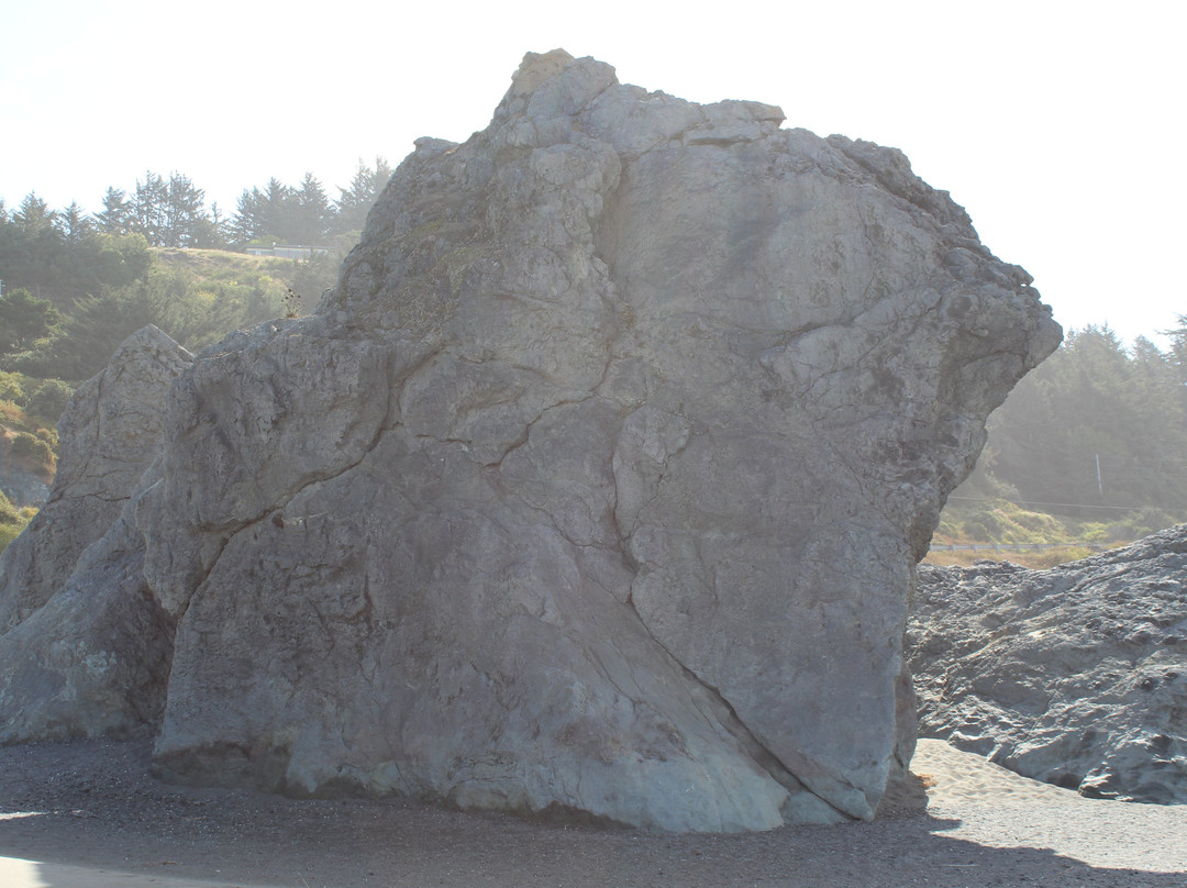 Mill Beach-布鲁金斯必去景点