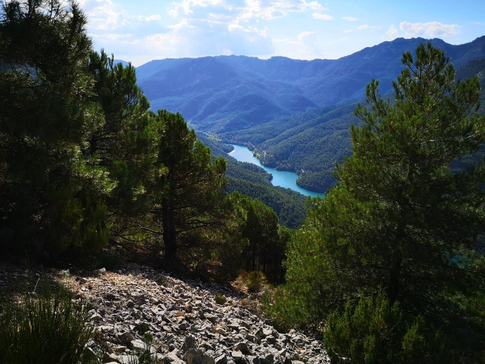 Embalse Anchuricas景点图片