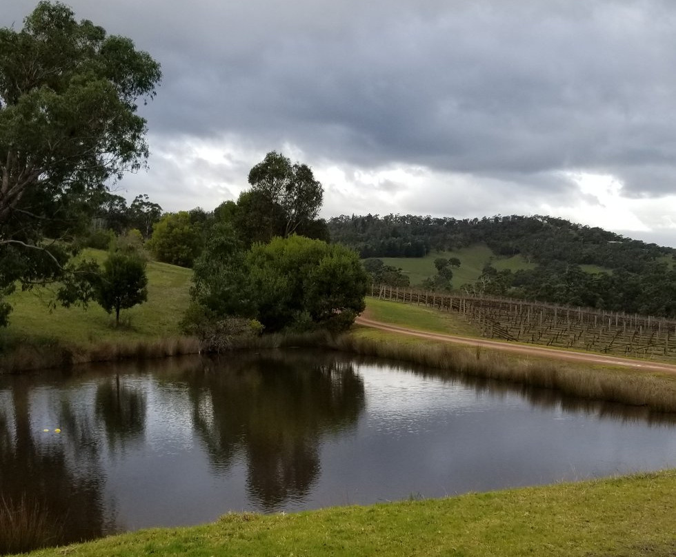 Sutherland Estate-Dixons Creek必去景点