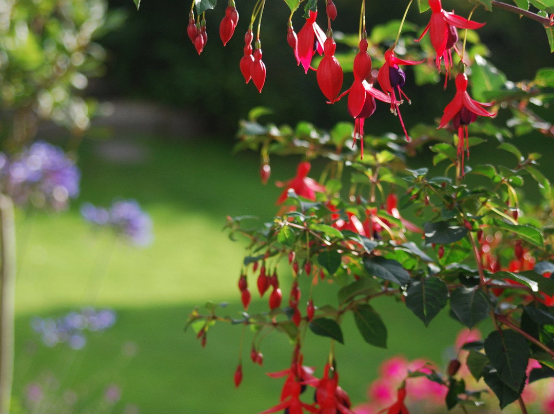 Silver Cottage主图