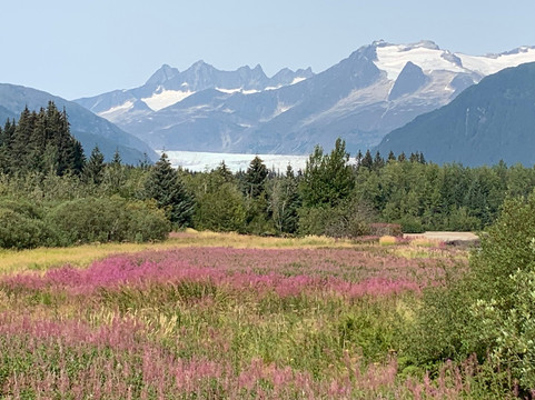 Alaska Luxury Tours-朱诺必去景点