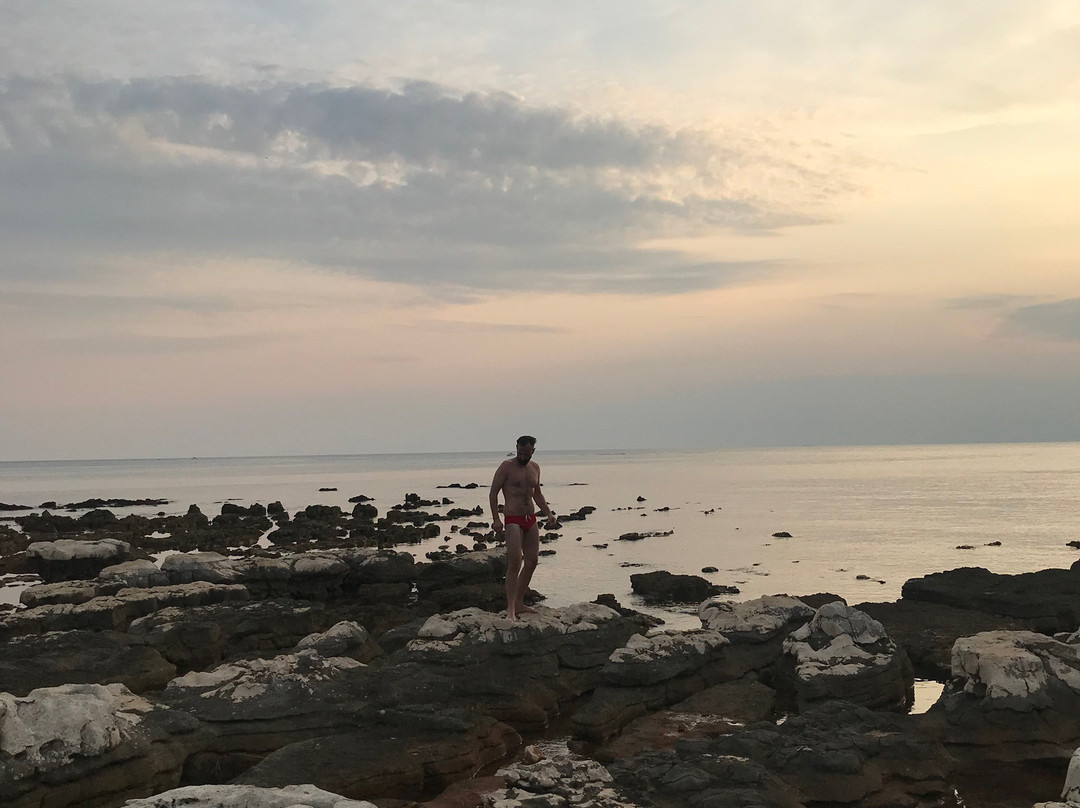 Istrian Villas Plava Laguna主图