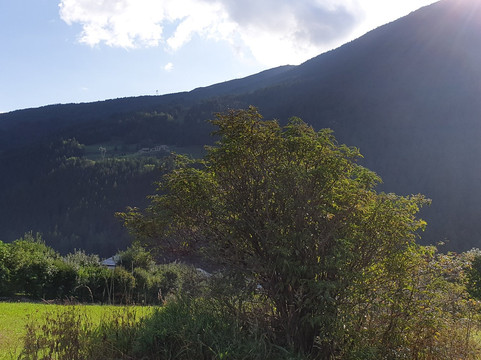 Cepina旅游攻略图片