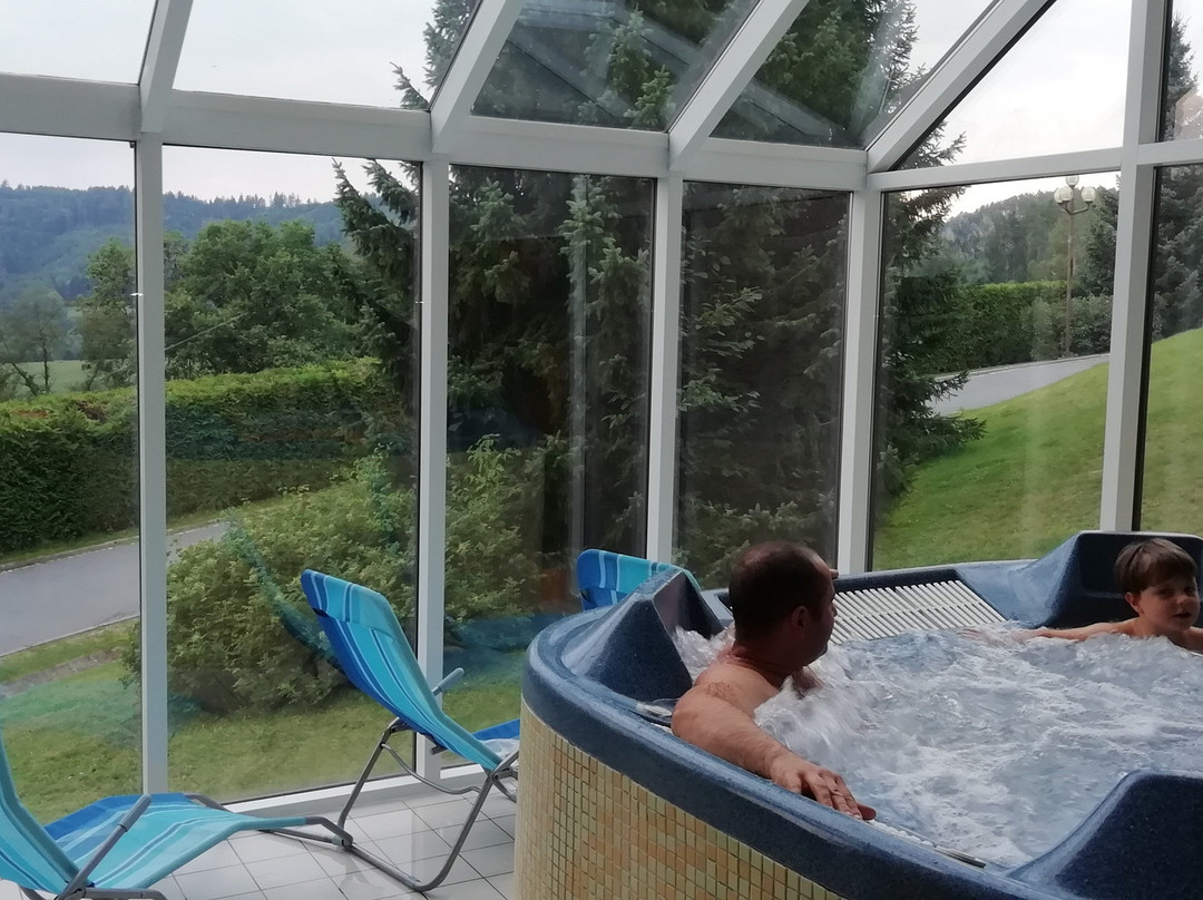 Wellness Hotel Diana主图