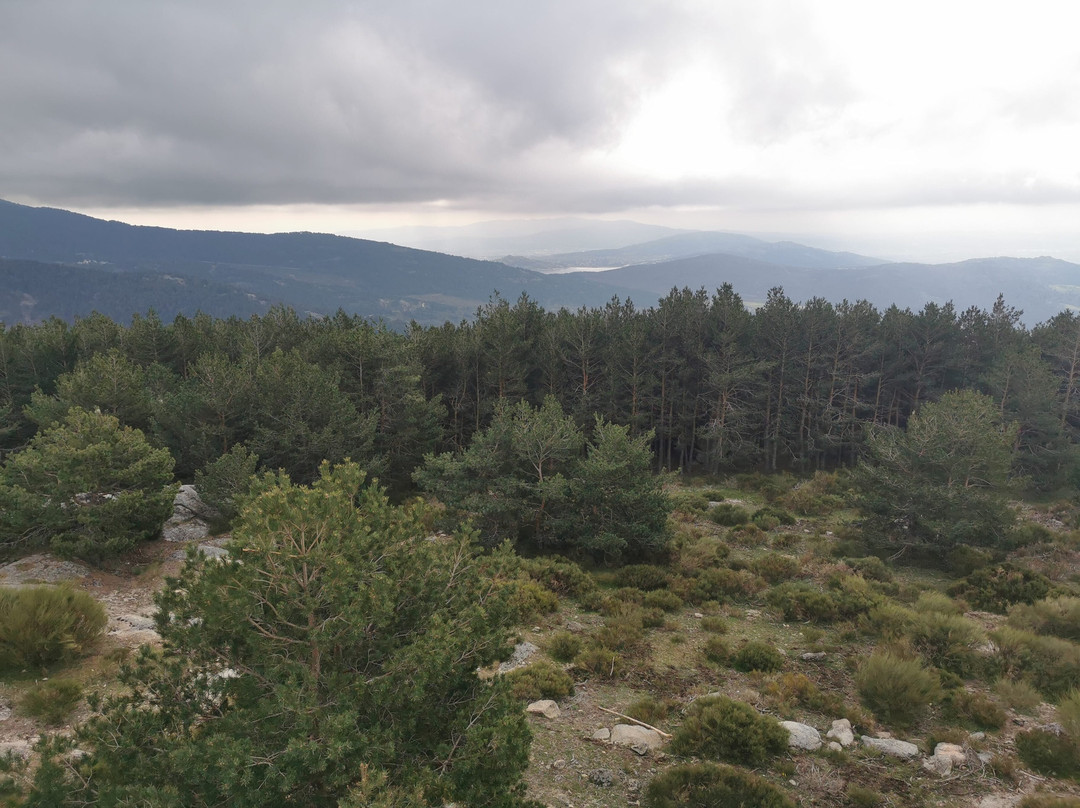 Mirador Vicente Aleixandre.