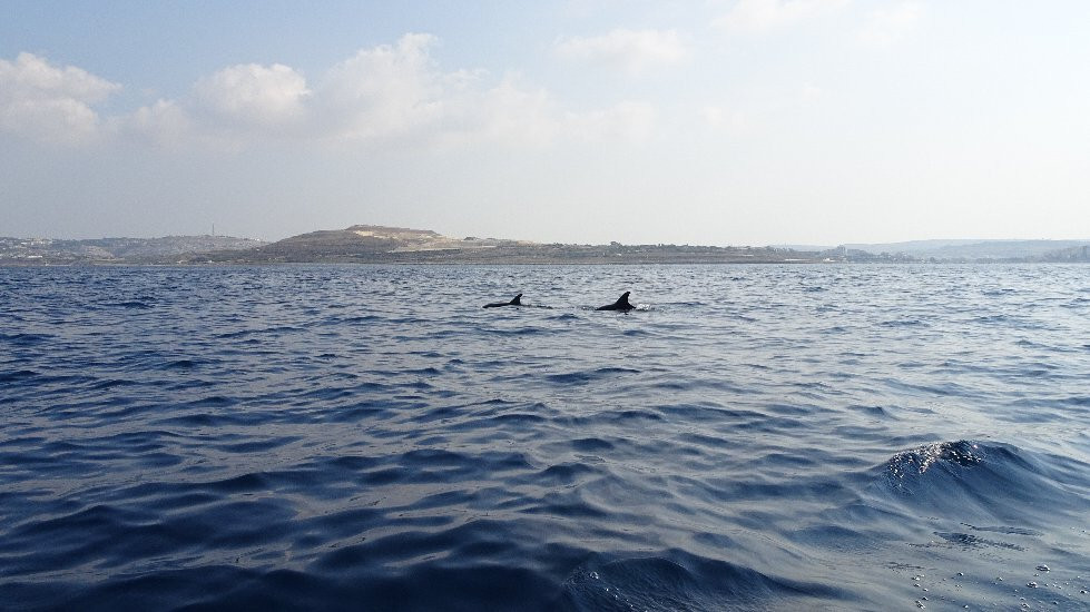 WaterWorld Malta景点图片