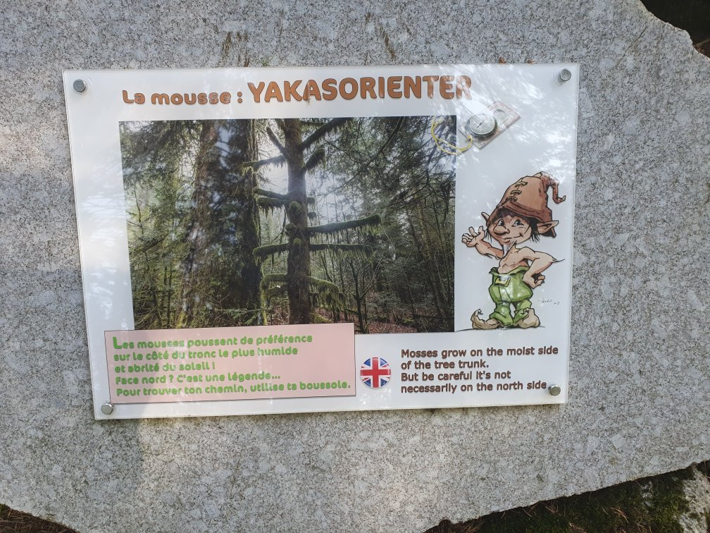 Le Bois des Lutins 06-卢贝新城必去景点