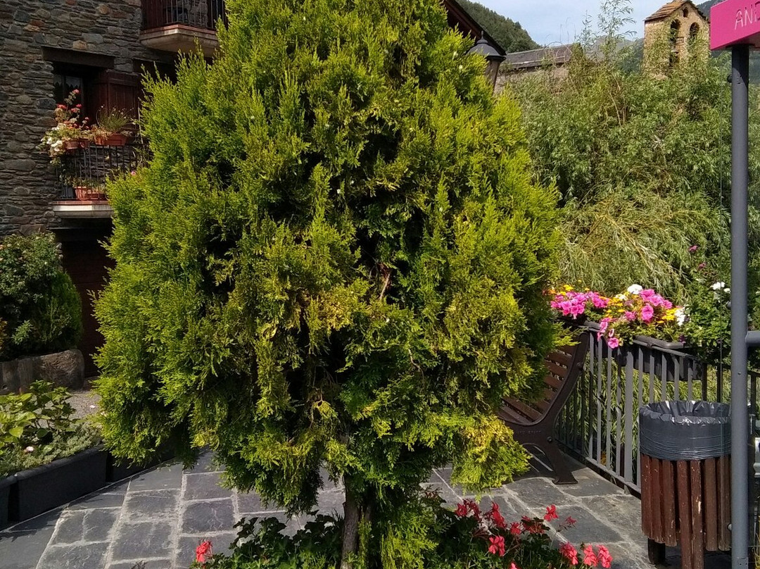 Estanys de l'Angonella-就滋必去景点