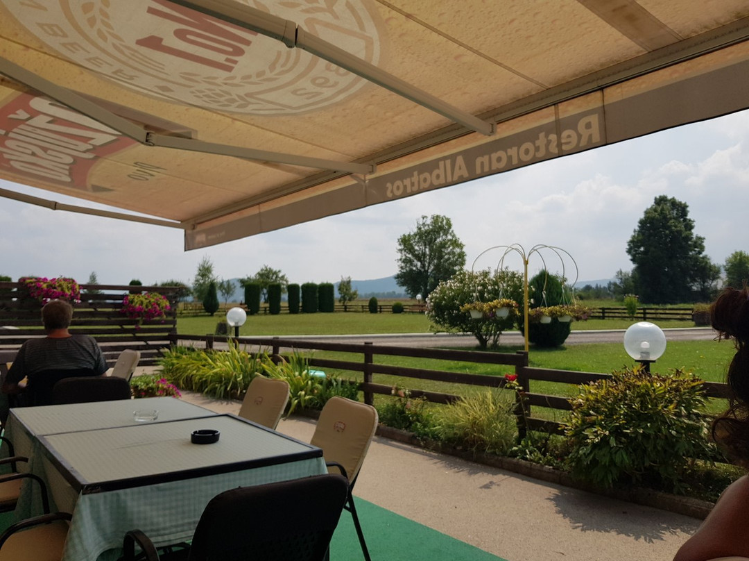 Albatros Guest House and Restaurant主图