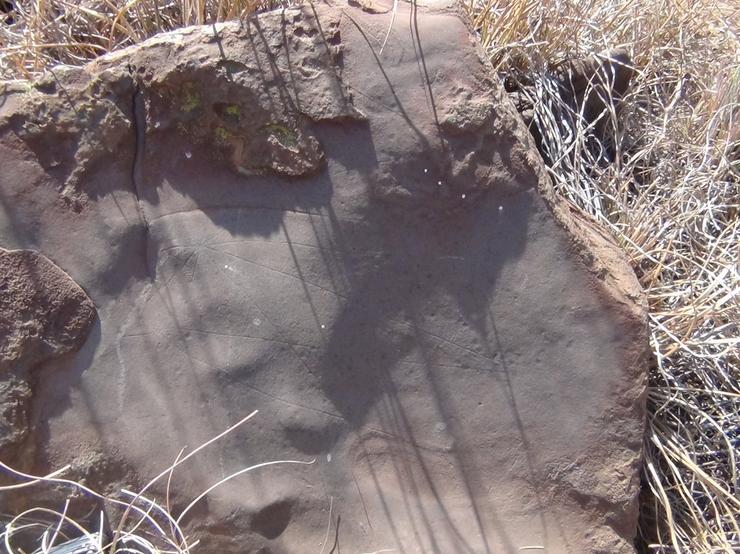 Askari Game Lodge-比勒陀利亚必去景点