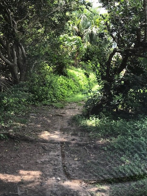 Bermuda Railway Trail景点图片