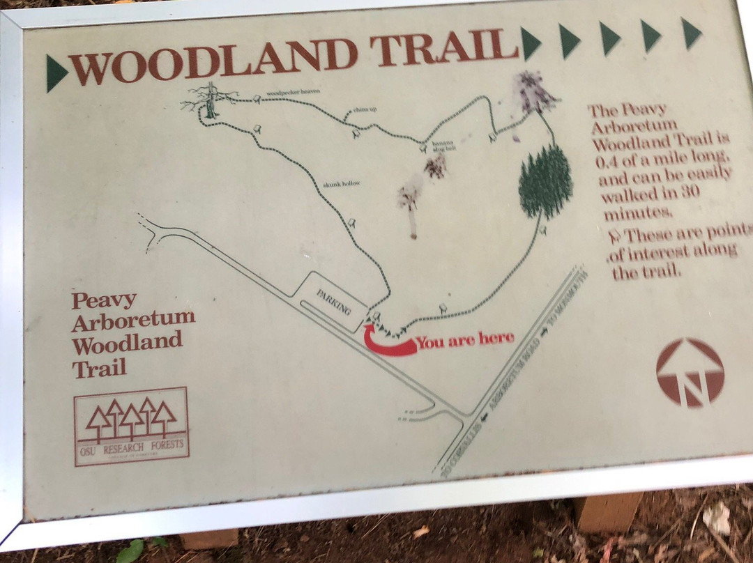 Peavy Arboretum-科瓦利斯必去景点