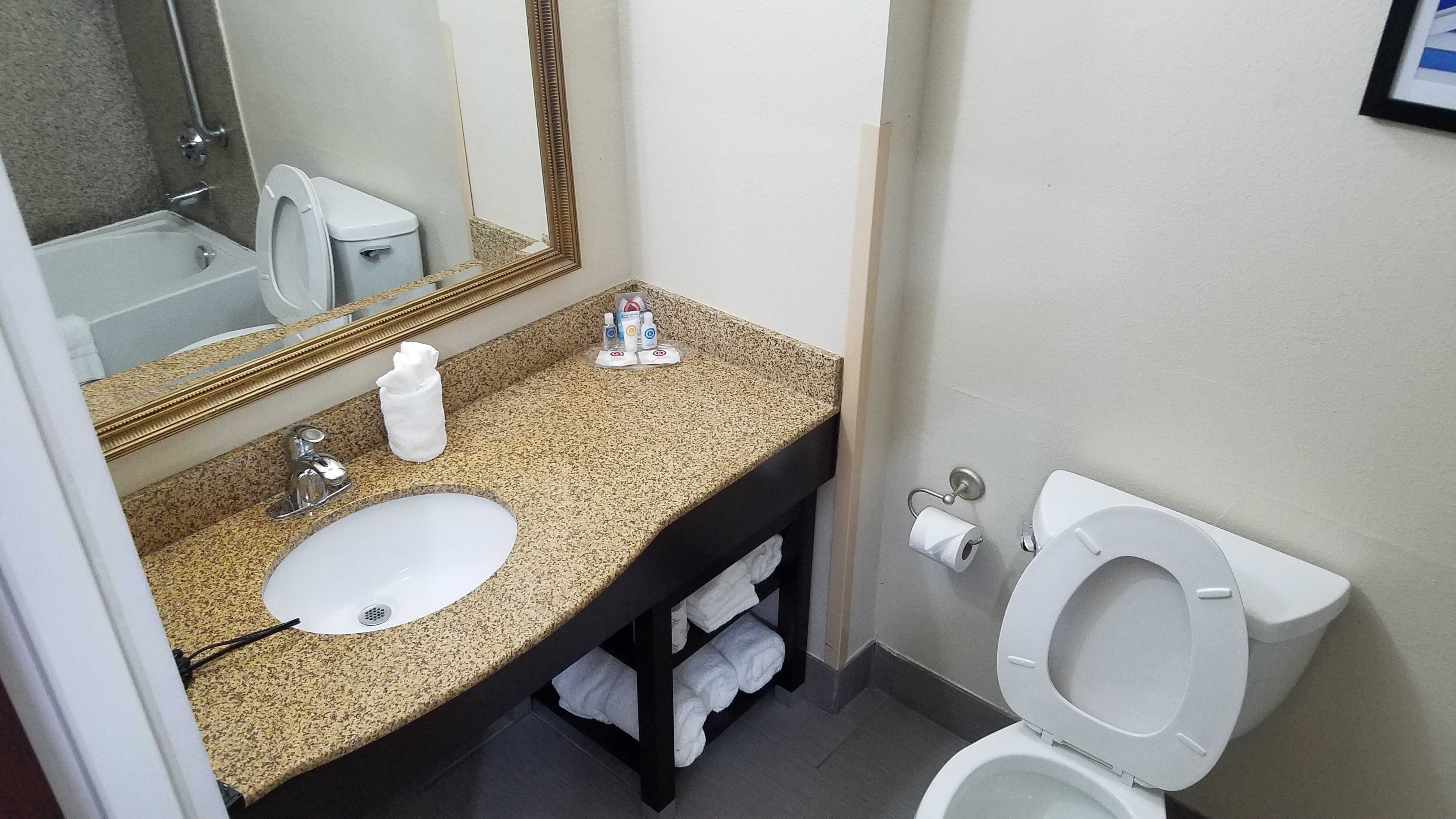 Comfort Suites Shreveport West I-20-浴室