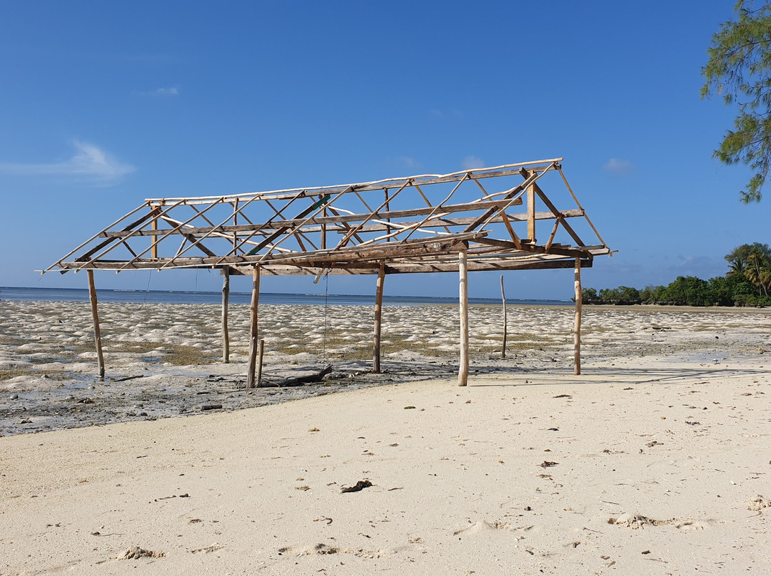 Hoga Island Dive Resort主图