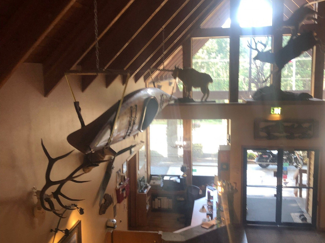 尼斯科利旅馆主图