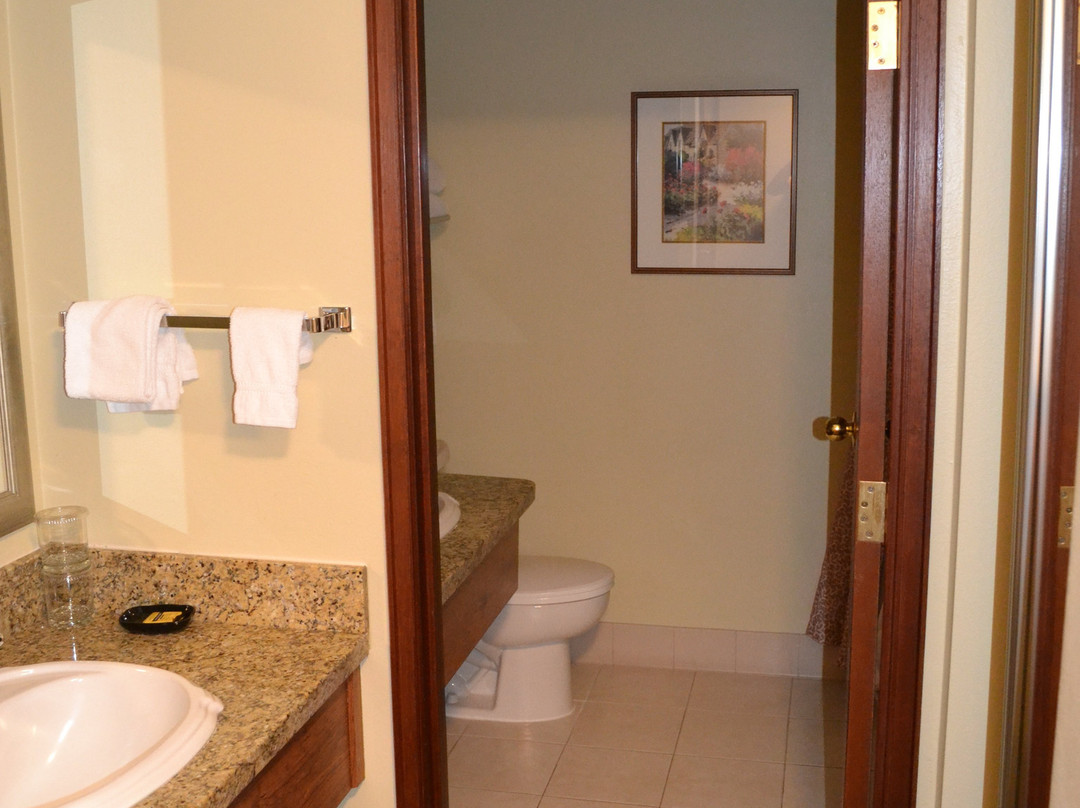 Best Western Plus Gold Country Inn主图