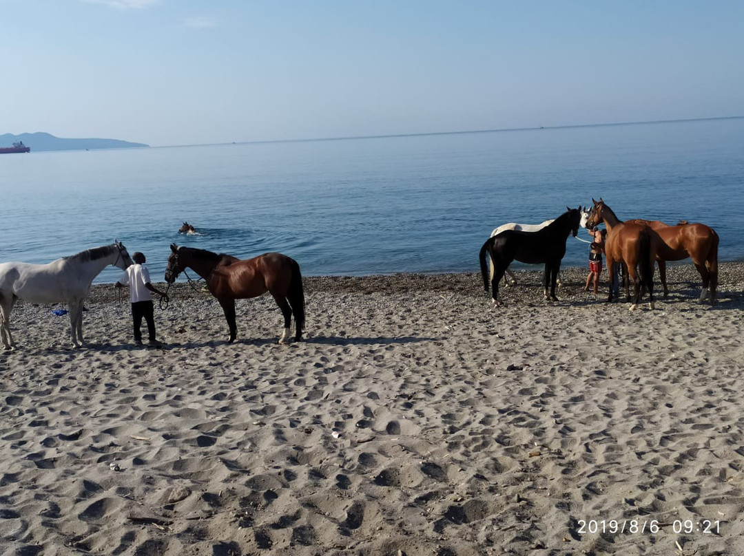 Ippikos Omilos Kalamatas景点图片