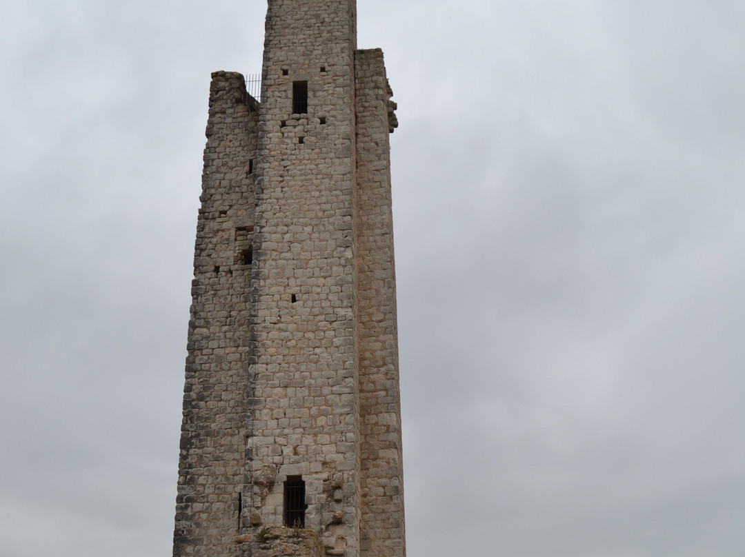 Tour château Castelnau de Lèvis景点图片