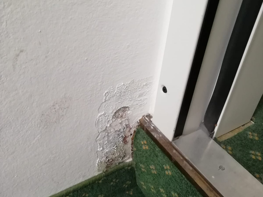 Hotel Alter Wirt主图