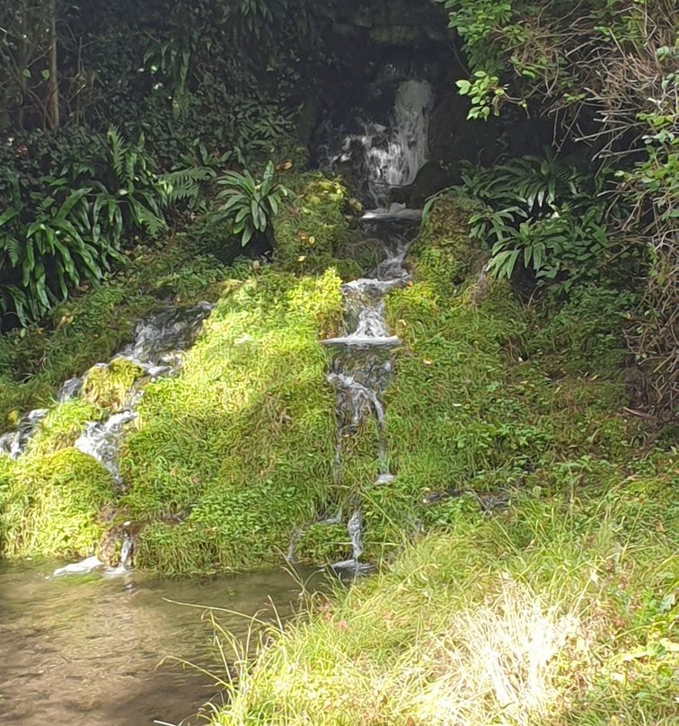 Les Jardins d'Annevoie景点图片