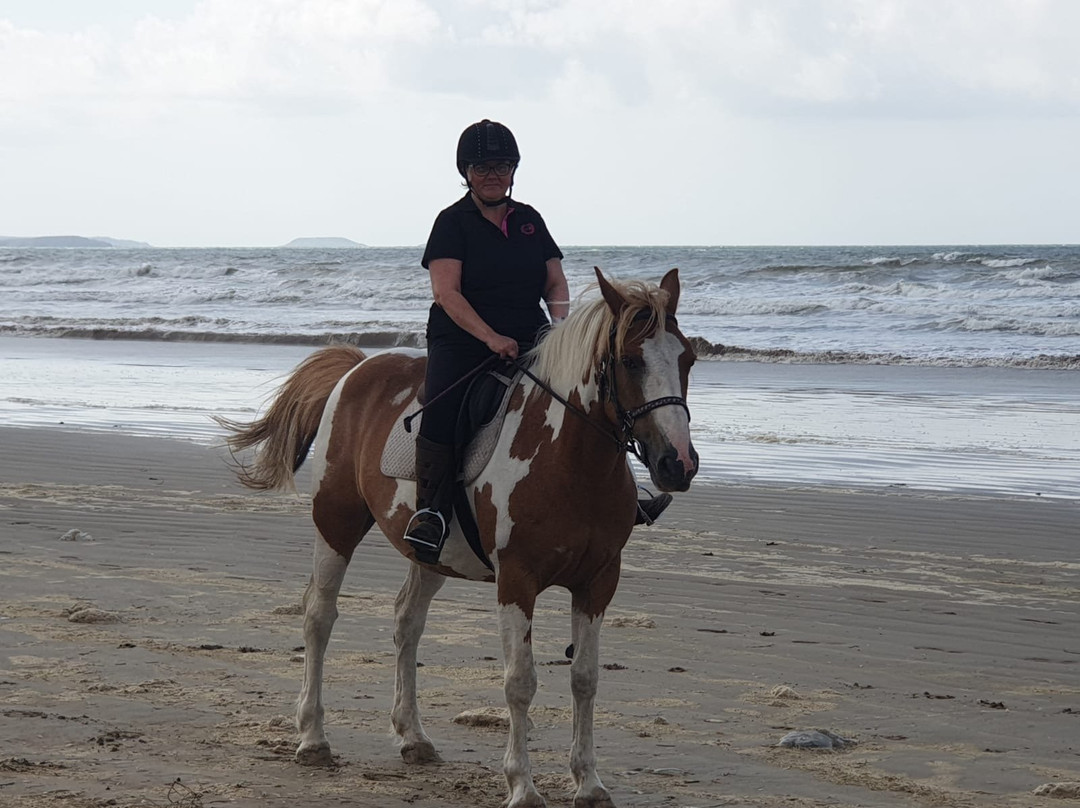 Pembrey Park Riding Centre景点图片