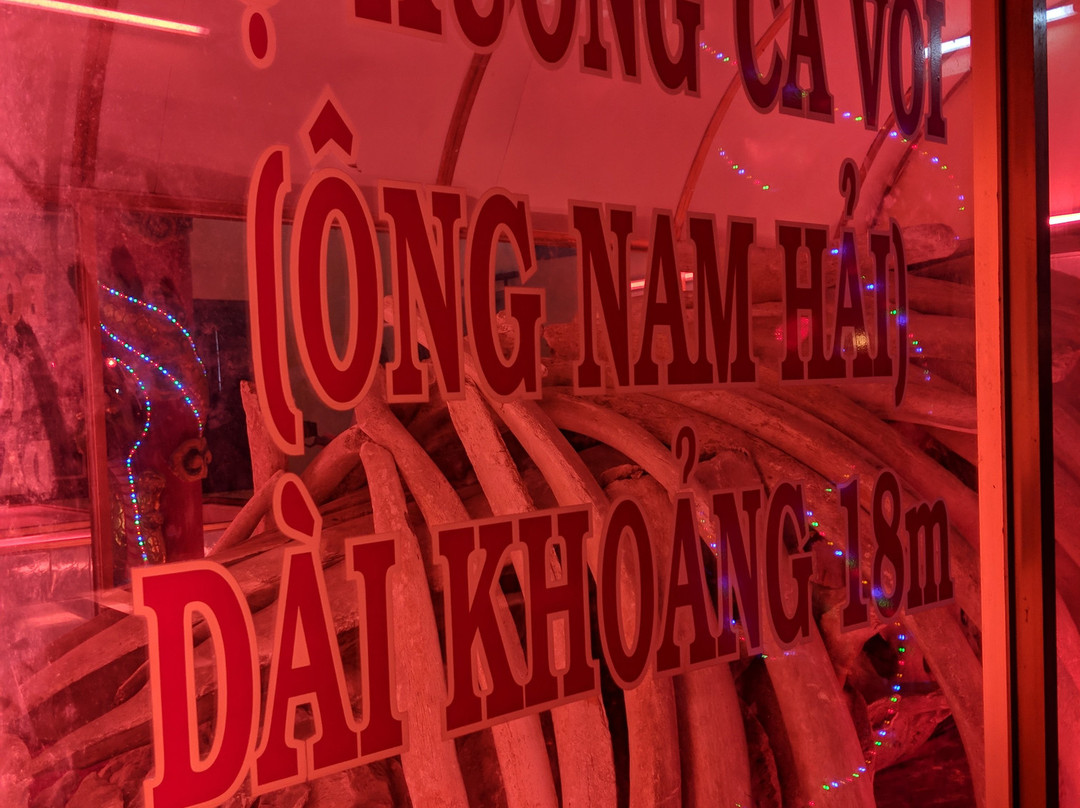 The Whale Temple Vung Tau-头顿必去景点