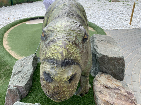 Mote Park Outdoor Adventure-梅德斯通必去景点