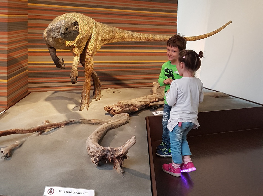 Bündner Naturmuseum-库尔必去景点