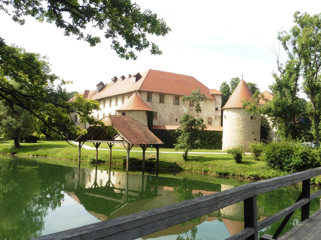 Grajski Park Otocec景点图片