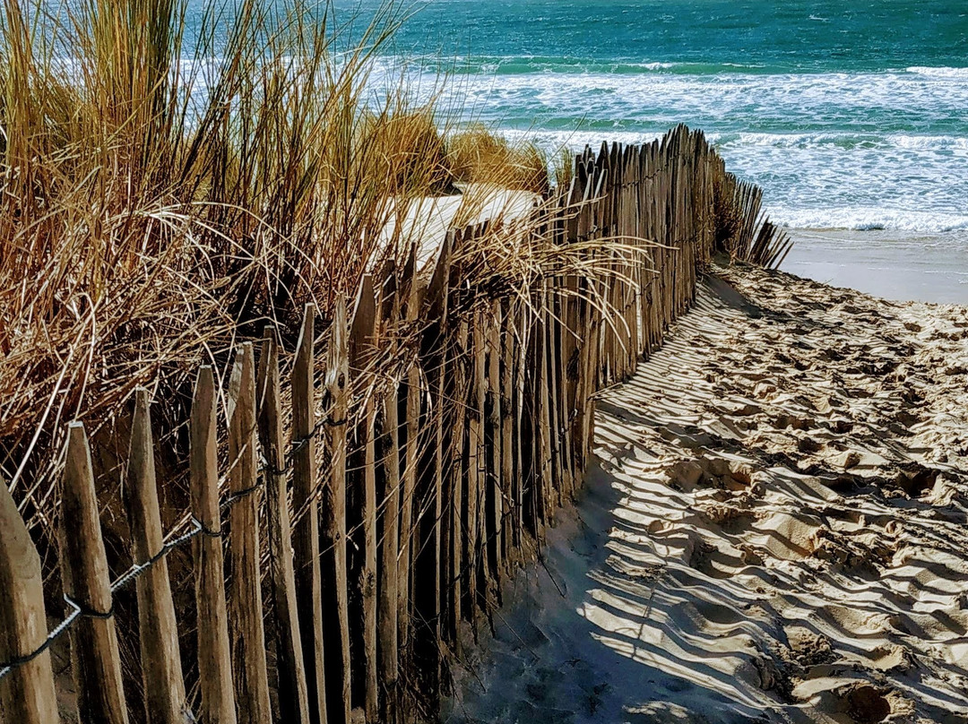 Plage de la Lagune景点图片