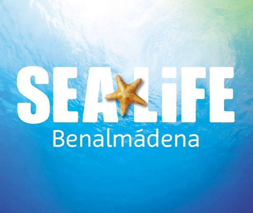 SEA LIFE Benalmadena景点图片