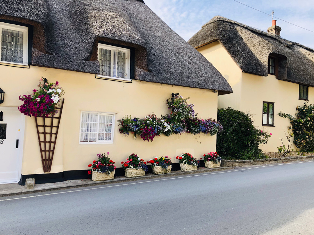 Tewkesbury Cottage主图