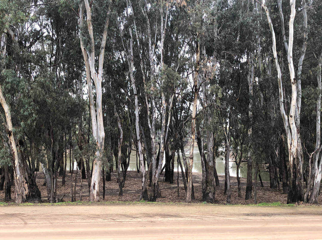 Murray Waters Motor Inn & Apartments主图