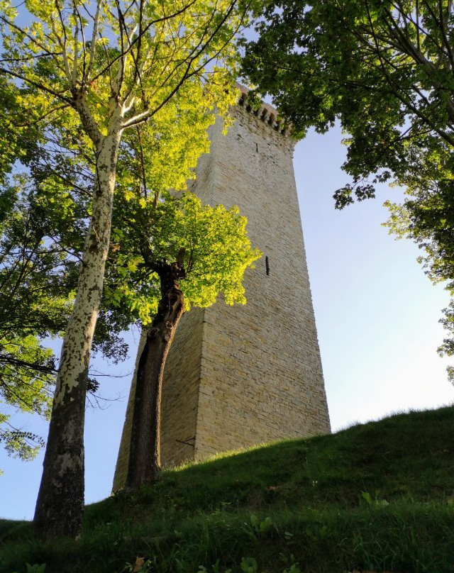 Torre景点图片