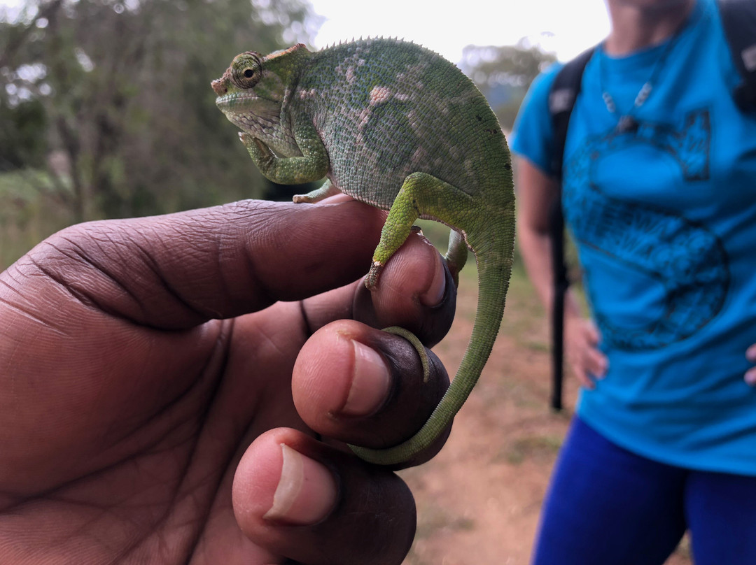 Friends of Usambara Society-卢绍托必去景点
