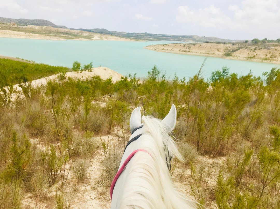 Riding stable El Refugio景点图片