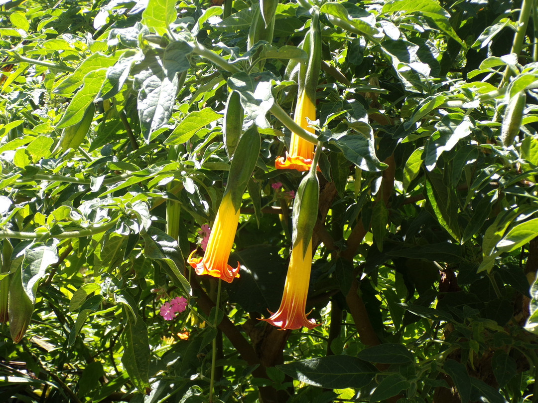 Carreg Dhu-St Mary's必去景点