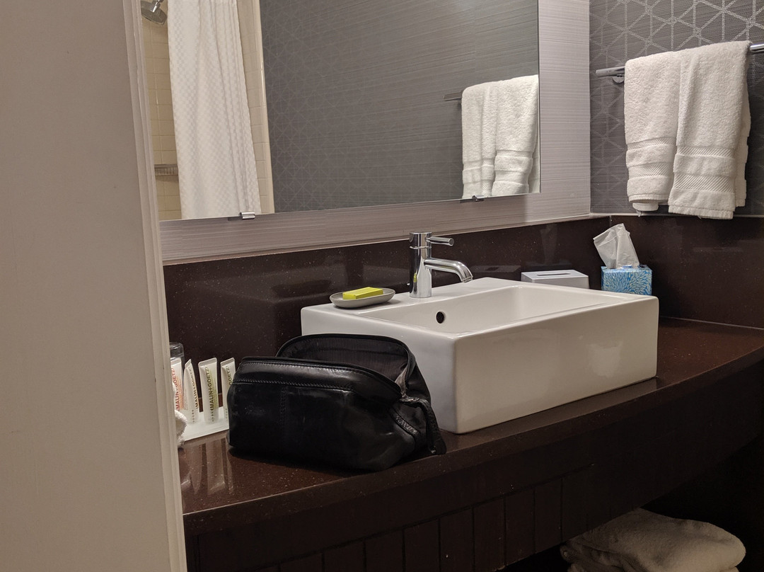 阿灵顿艾美酒店主图