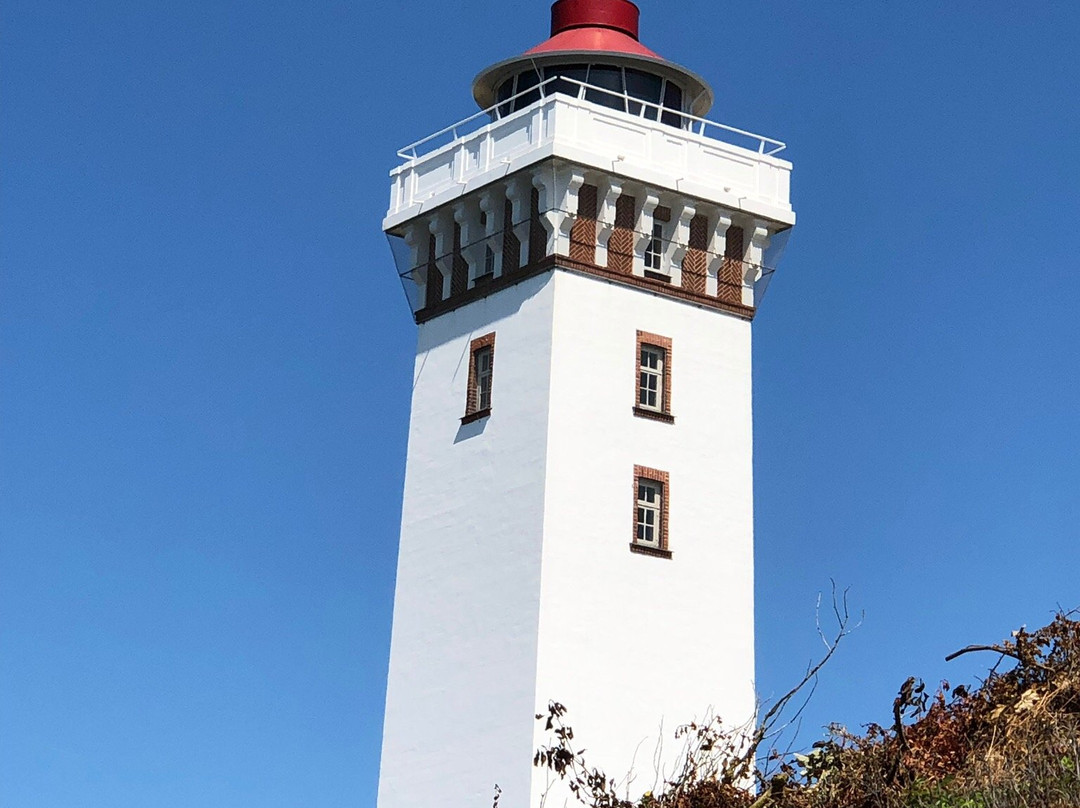 Helnæs Lighthouse景点图片