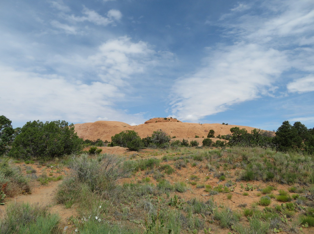 Whale Rock-峡谷地国家公园必去景点