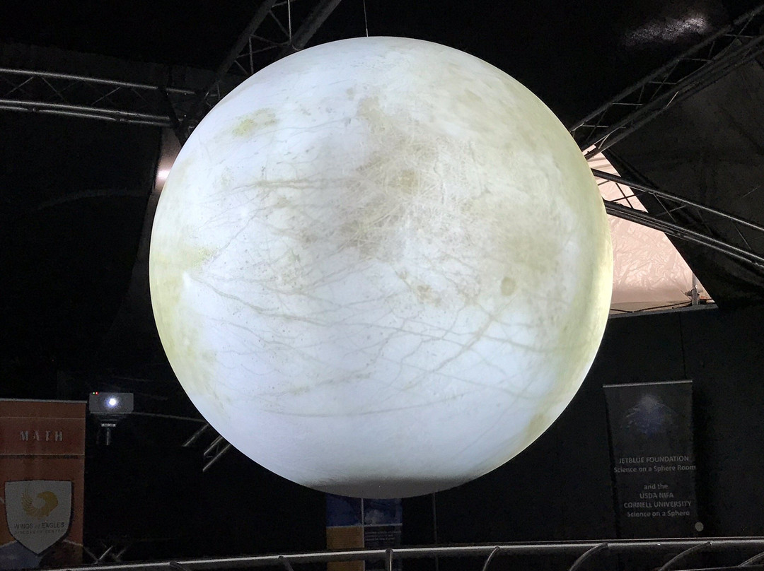 Wings Of Eagles Discovery Center-Horseheads必去景点