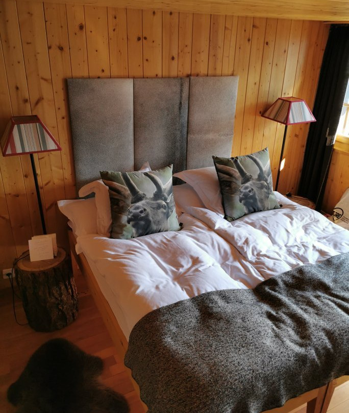 Hôtel Grand Chalet Favre主图