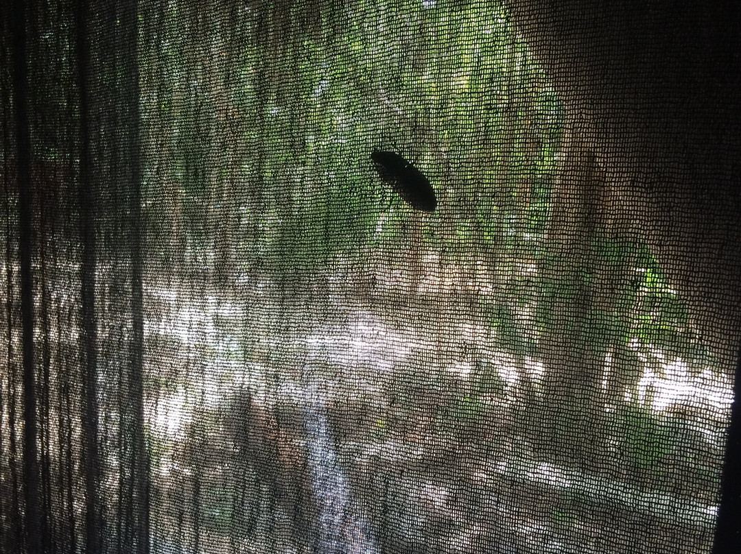 Akumal Natura Glamping主图