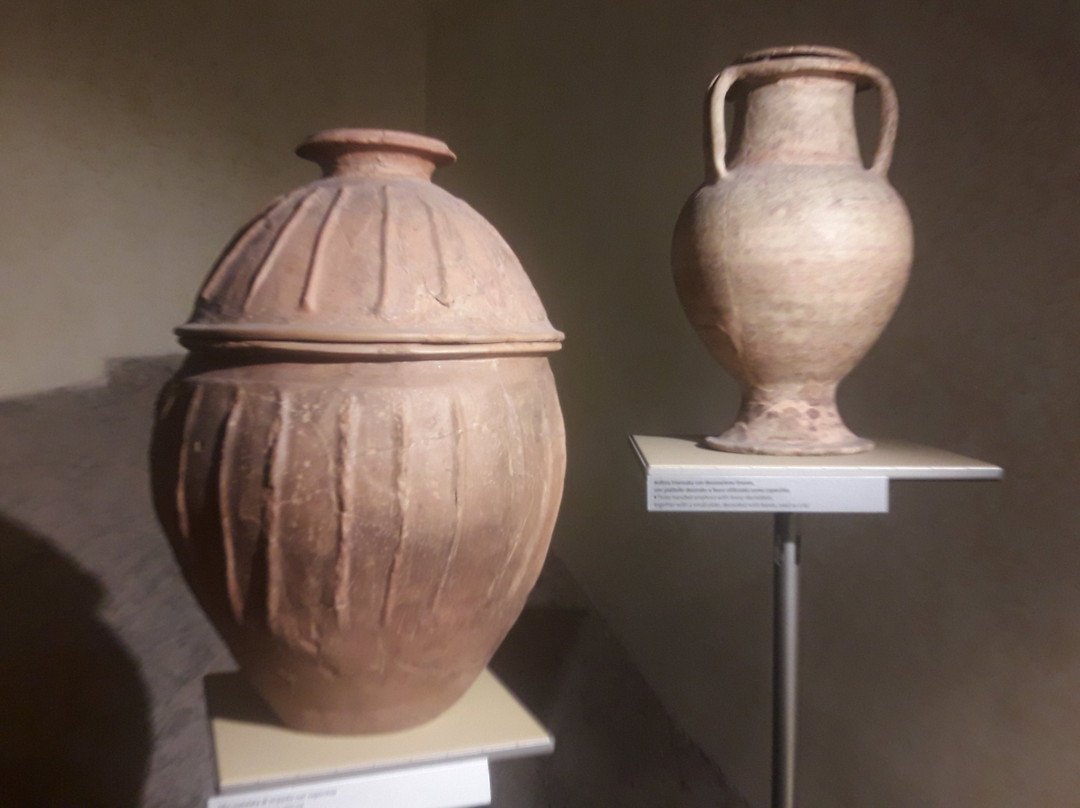 MAEC - Museo dell'Accademia Etrusca景点图片