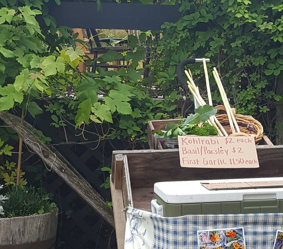 Vista D'oro Farms & Winery-Langley必去景点