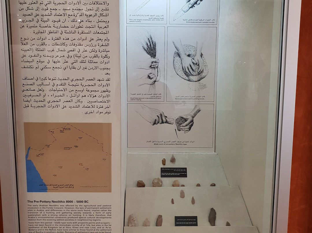 AlUla Museum景点图片