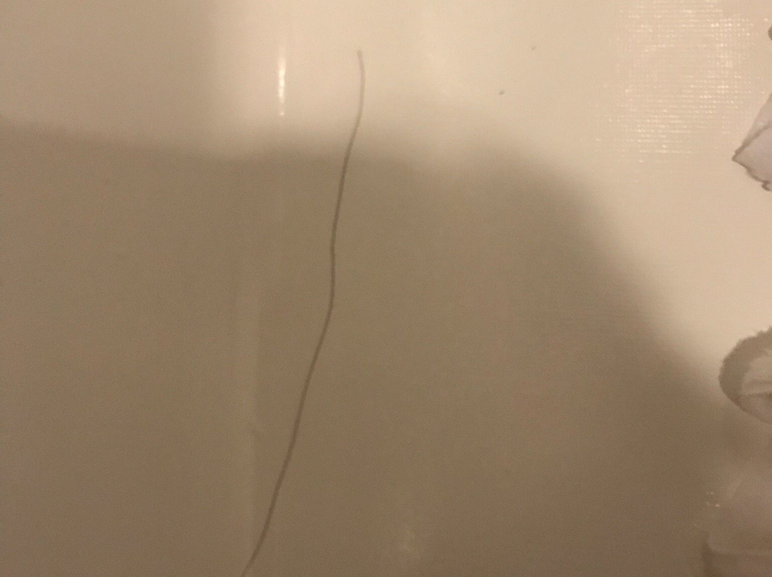 Sleep Inn & Suites New Braunfels主图