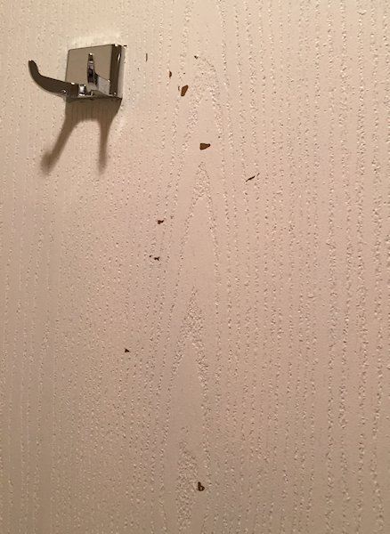 洛斯阿拉莫斯蔚景温德姆酒店-浴室